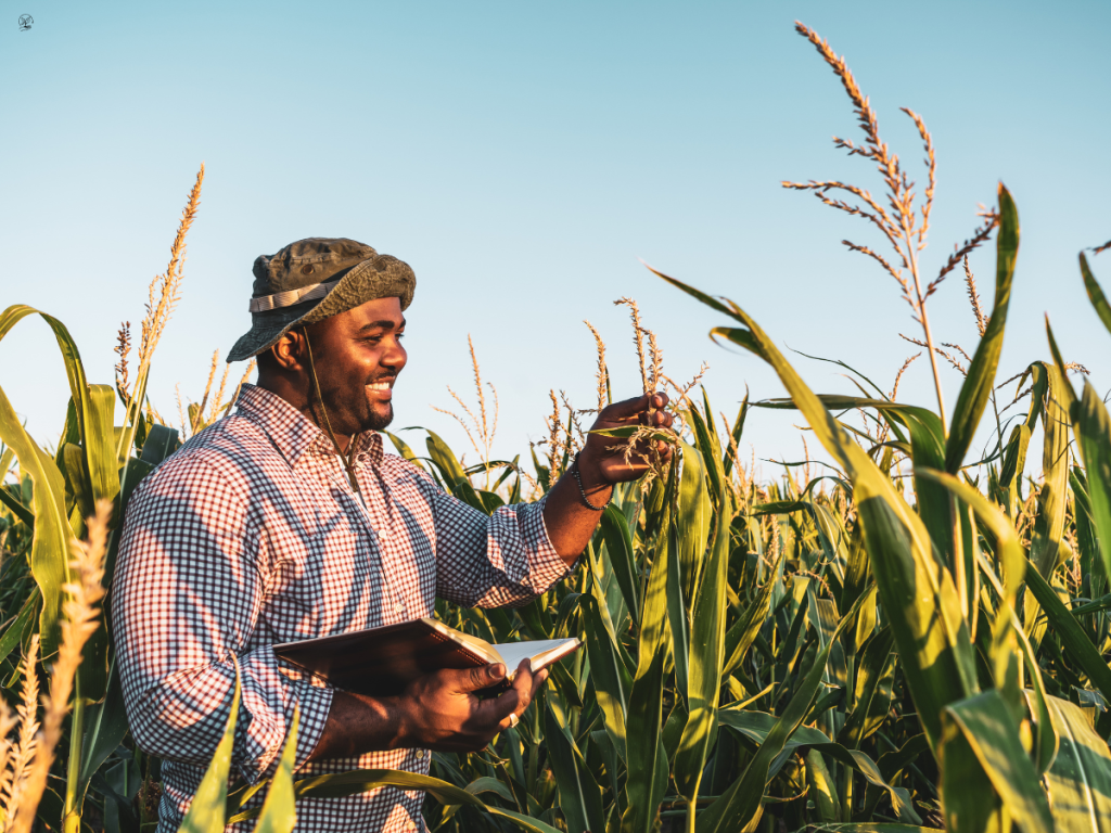 Must-Have Machinery for Small-Scale Agriculture (Tractor, Plow What&nbsp;Else?)